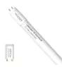 Noxion LED Röhre T8 Avant (EM/Mains) Standard Output 15W 1800lm - 830 Warmweiß | 120cm - Ersatz Für 36W